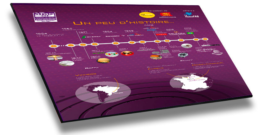 histoire de la société Solcera