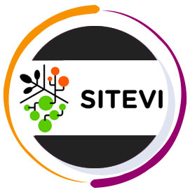 SITEVI